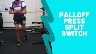 Palloff Press Split Switch: Hamstring Rehab