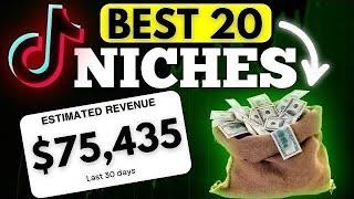 BEST 20 TikTok Niches in 2025 ( Make Money Online)