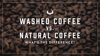 Washed Vs. Natural Coffee | What's The Difference And How Do They Taste?