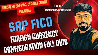 SAP FICO Foreign Currency  Configuration Full Guide,SAP FICO Month-EndCurrency Revaluation Process