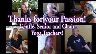 Gentle, Senior and Chair Yoga Teacher Training at the Yoga Vista Academy 2014