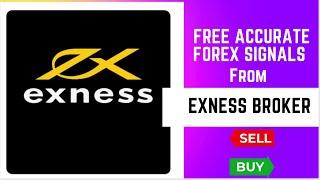 Free Accurate Forex Signals From Exness Broker