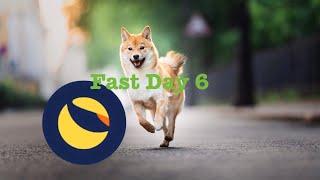 Shiba Inu, LUNC, Fast Day 6 @FaithLikeaGrainOfMustardSeed #faith #jesus #crypto #cryptocurrency