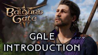 Baldur's Gate 3 - Gale 【Character introduction】