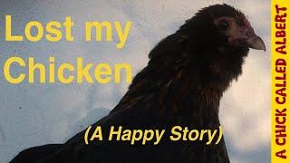 Lost my chicken - (A Happy Story)