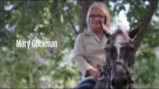 Open Road Media: Mary Glickman Profile