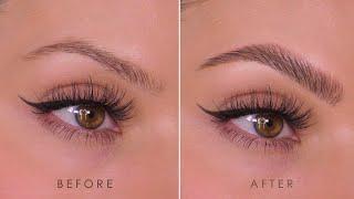 UPDATED Natural Fluffy Eyebrow Tutorial 2024 | How-To | Shonagh Scott