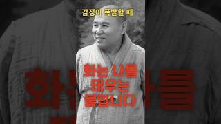 분노와 화를 다스리는 법, 성철스님의 단 한마디 #성철스님 #성철#분노해결#분노조절 #화를다스리는법 #화를 다스리는 명상 #화를참는법 #마음수행 #감정조절 #불교명상 #인생조언