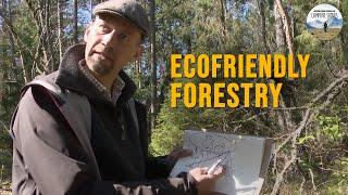 Forestry: A More Sustainable Way – with Mikael Karlsson