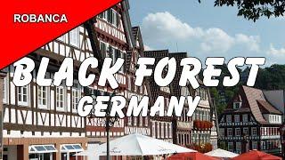 BLACK FOREST NORTHERN REGION TRAVELOGUE: Medieval villages & a day in Strasbourg, with commentary.