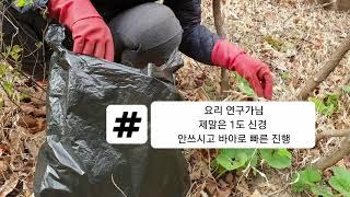 #개두릅 #엄나무순  체험 삶의 현장_사랑담은 꿀 개두릅 따기편