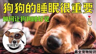 宠物小知识2022 | 狗狗的睡眠 狗狗睡觉的知识 #狗狗睡眠时间 #狗狗睡觉 #宠物知识【宠物说不完】