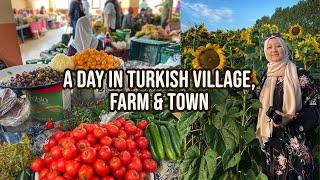 The Life In Turkish Village, Farm & Small Town Kastamonu, Turkey