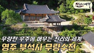 [BTN]부처님의 무량한 경지를 느낄 수 있는 곳, 영주 부석사 무량수전-천년의 여행 23회