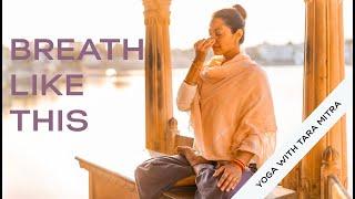 Nadi Shodana Pranayama (Alternate nostril breathing)