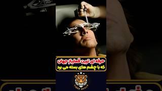 حرفه ای ترین قمارباز جهان با چشم های بسته بازی می کند! معرفی بهترین فیلم ها و سریال های جهان #review