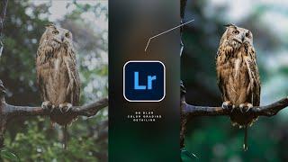 Perfect Background Blur + Color Grading in Lightroom Mobile and Snapseed || Picsart Photo Editing