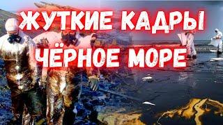 Мазутный апокалипсис в Чёрном море! Впереди десятилетия борьбы  Самое крупное экологическое бедствие