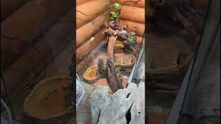 Шлифовка журнального столика на позитиве🪵…