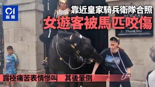 女遊客靠近英王衛隊合照　突遭馬匹咬傷暈倒｜01新聞｜國際｜英國｜馬匹｜咬傷