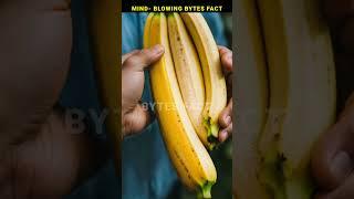 Are bananas also radioactive? Know about this interesting fact!  Bytes Fact