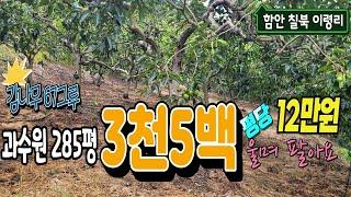 물건번호24-039/함안군 칠북면 이령리 관리지역 싼땅 급매물 과수원  가족주말농장 텃밭 농막