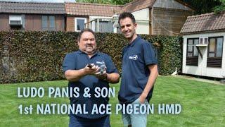 The Sledge hammer of Ludo Panis & Son - 1st Nat. Ace Pigeon Heavy Middle Distance Youngsters 2024