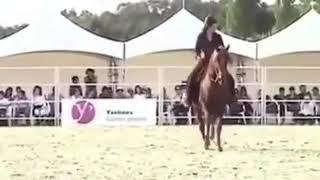 Horse funny dressage