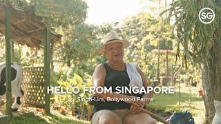 Hello from Singapore: Ivy Singh-Lim, Bollywood Farms