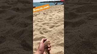 Barcelona - Playa de la Nova Mar Bella