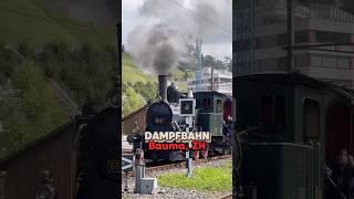Hogwarts-Express in real life!  #dampflok #dampfzug #bauma #nostalgie #freizeit #schweiz