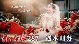 愛的榮耀 EP287 遇水則發｜Glory of Love