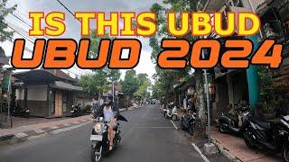 IS THIS UBUD || Ubud Bali 2024