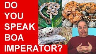 Boa imperator: What you NEED to know!