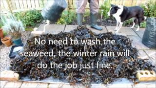 Garden Shredder, Winter Composting, Seaweed and Leaves with a Royal ending