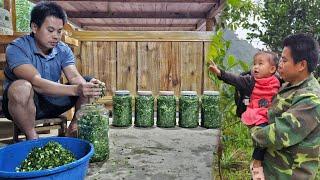 How to make & preserve pickles from garden vegetables on the farm/XuanTruong.