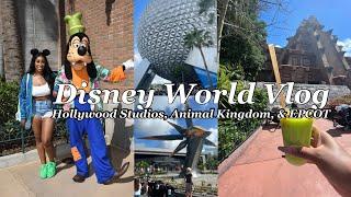 SOLO DISNEY WORLD VLOG : DRINKING AROUND THE WORLD, EPCOT, HOLLYWOOD STUDIOS, ANIMAL KINGDOM PART 2