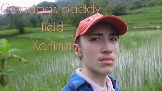 visit to grandmother's paddy field in Kohima