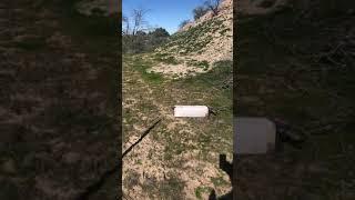 Animal Experts inc in Tucson Arizona relocating a skunk