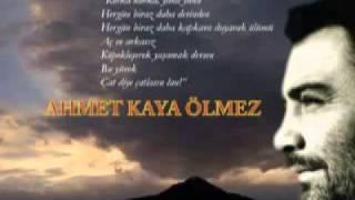 halit bilgiç AHMET KAYA ÖLMEZ