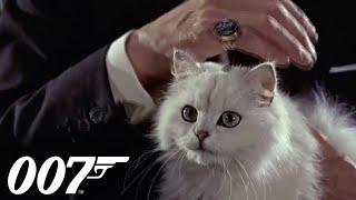 FROM RUSSIA WITH LOVE |  Kronsteen Outlines His Plan To Blofeld and Klebb