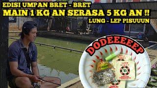 MAIN 1 KILOAN IKAN MAKANIN BANGET SAMPE TERBANG - TERBANG !!