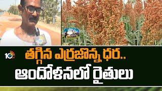 తగ్గిన ఎర్రజొన్న ధర.. ఆందోళనలో రైతులు | Red Sorghum Price | Erra Jonna | Matti Manishi 10TV