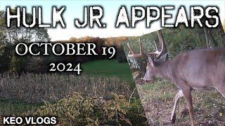 HULK JR In The Plot!!!!! Our Number 1 BUCK!