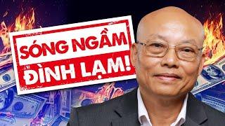 Chu Kỳ Đình Lạm Mới: Vàng Tăng Vọt, Cách Đầu Tư Để Sinh Lời Tối Ưu!