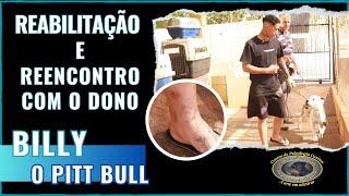 ELE FOI MORDIDO - PITT BULL EM REABILITAÇÃO!  Sérgio Cantadeiro