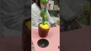 Dancing Cactus  #shorts #bestforkids #ytshorts #youtubeshorts #Trendingtoy #merayvlogsshorts