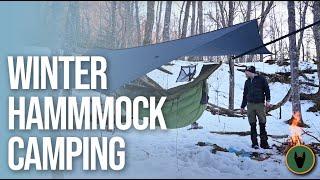 Hammock Camping With a Dog in Winter