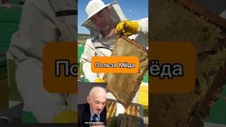 Целебные свойства мёда: в чем его польза? #здоровье #пользамёда #мёд #медецина