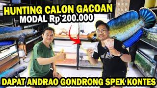 HUNTING CALON GACOAN GONDRONG!!! MODAL Rp 200.000 @GinanAquatic